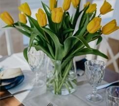 Дом № 5 Каштан в Vetvi