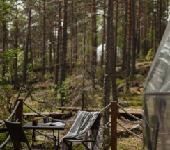 Аренда геокупола в Lago Ladoga