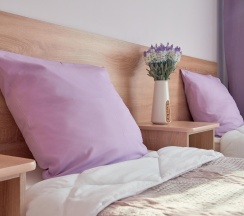 Комната стандарт с 2 двуспальными кроватями в Горное эхо