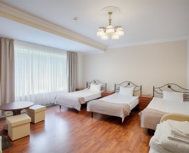 Номер с 3 полутороспальными кроватями в Парк-отель