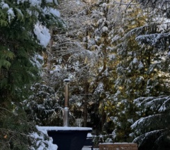 Дом №4 в Дом и Елки