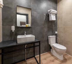 2-местный номер стандарт премиум в Xenia city hotel