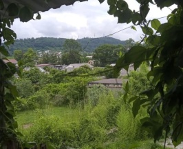 Двухместный номер Standard двуспальная кровать в Арт-отельчик