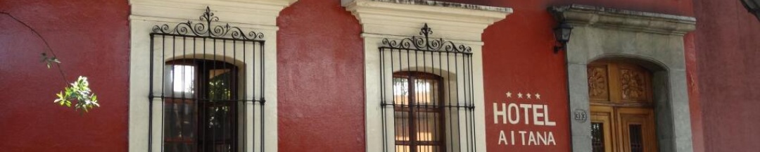Одноместный номер Superior двуспальная кровать в Hotel Aitana Oaxaca