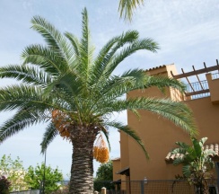 Вилла с 5 комнатами с видом на море в Villas Av Los Altos De Marbella