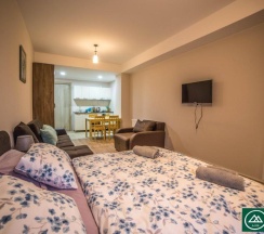 Студия с балконом в Bakuriani Plaza A 208