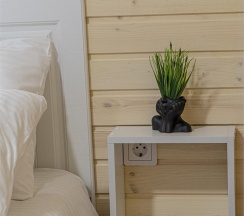Эко-дом 30 м2 в Ecosuite