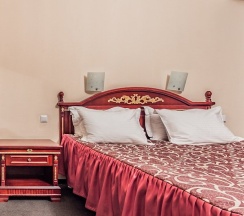 Двухместный номер Deluxe Superior двуспальная кровать в Almaty