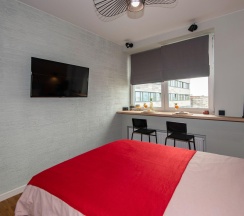 1-комнатный номер эконом в Dream Apartmens