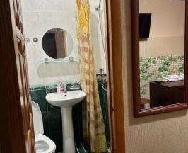 Двухместный стандарт двус. кровать, с удобствами в номере в Островок