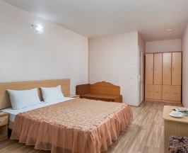 2-местный номер стандарт (мансарда) (корпус Б) в Русич