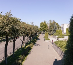 Полулюкс в Голден отель