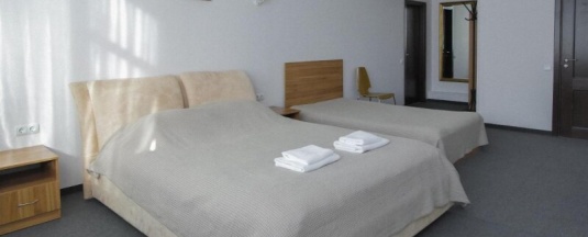 №20 (полулюкс) в Lips hotel