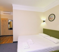 Улучшенный стандарт в Елисеефф арбат отель