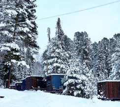 Стандарт в Телецкое Золотое