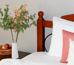 NiceAparts 1-к. квартира 50 м² в Центре, на улице Кудрявцева, 9 - до 5 чел в NiceAparts (хорошие квартиры) в Ярославле