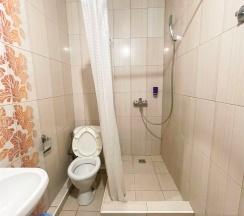 Трехместный стандарт в Калатея