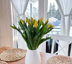 Дом №1 Березка в Vetvi