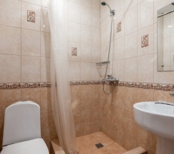 Стандарт с 1 кроватью в Дана