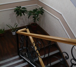 Люкс семейный в Медвежонок