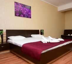 Двухместный номер Comfort двуспальная кровать в Алатау