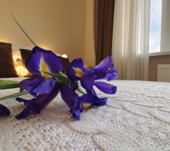 3-х местный стандарт  в Центральная