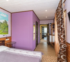 Двухместный номер Comfort с красивым видом из окна двуспальная кровать в Георгиевский