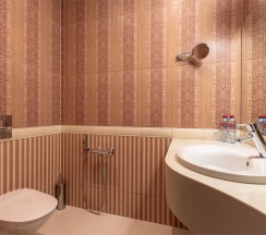 Делюкс в Azimut Парк Отель&Спа Репино