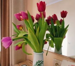 4-х местный комфорт  в Центральная