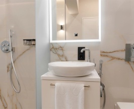 Одноместный номер Deluxe Standard в Almaty