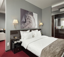 Люкс в City Hotel Sova