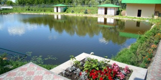 Мещеряково: Отель Орхидея