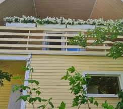 Коттедж в Белый дом