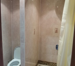 Номер стандарт с 1 двуспальной кроватью в Лесная сказка