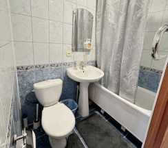 Двухместный номер Standard (двуспальная кровать) в Новосел
