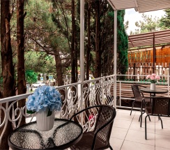 Двухместный Стандартный номер с двуспальной кроватью и балконом в гостевом доме SV на 2 этаже в Милка