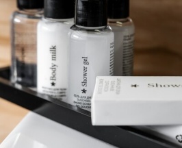 Номер "Стандарт" с мансардным окном, в корпусе без лифта в Премьер