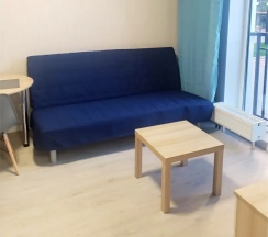 Апартаменты c 1 комнатой в Апартаменты Park In Pulkovo
