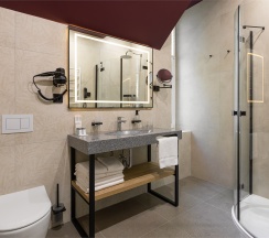 Стандарт с двуспальной кроватью в Berry Hotel&Spa 4*
