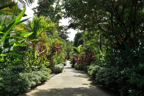 остров Фукуок: Курортный отель Rainforest Resort Phu Quoc
