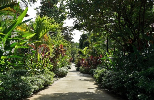 Вьетнам, Фукуок: Курортный отель Rainforest Resort Phu Quoc