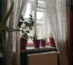 Botanic (femail) Room в Polosaty space