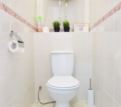 ▶ Euro Apartment ★ По Адресу: Александра Усольцева 12★ (СЕВЕРНЫЙ Р-ОН/ ТЦ АУРА) в Lion