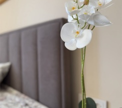 Апартаменты №9 в Янтарная корона