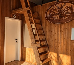 Дом-резиденция в Тайга