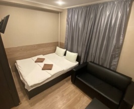 Номер "Стандарт" с 1 двуспальной кроватью в Аэропорт Внуково