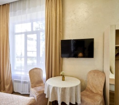 1-комнатные апартаменты стандарт в Versale hotel (Версаль)