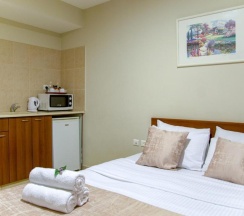 Одноместный полулюкс в Motel Aviv