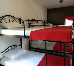 Кровать в общем номере в Monkey Samui Hostel