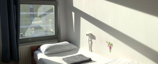 Птичка раздельная с окном в Петя и волк